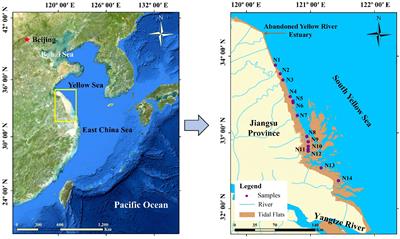 Distribution, sources and influencing factors of organic carbon in the surface sediments of the coastal tidal flats in Jiangsu Province